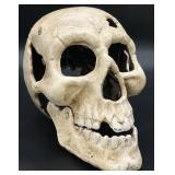Cast Iron Life-Size Skull Figure