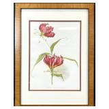 Lily Botanical Illustration Framed Art Print
