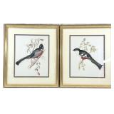 2 John Gould Framed Bird Art Prints