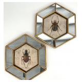 2 Hexagon Mirror Framed Beetle Prints