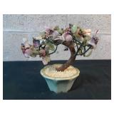 Bonzai En Vitre 9 x 8x 4"
