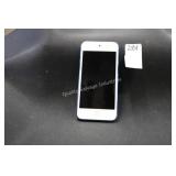 apple i pod -works(display)