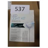 LED light kit whitening mouth tray