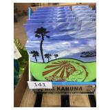 one display case of innova frisbees