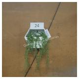 artificial hanging plant