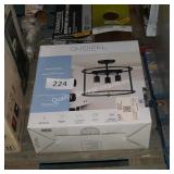 quoizel light fixture