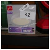 globe 2pk smart light