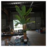 artificial banana tree