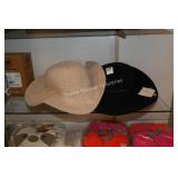 2 san diego hats (display)