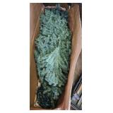 7.5 ft Pacific Fir Christmas Tree