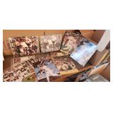 Sports Photos O.J. Simpson Items +