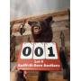 Black Bear Mount