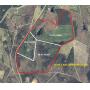 Entry Hill Farms 134.34 Acre Land Auction