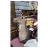 Musical Buck Kaeroke 35"