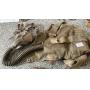 Military, Autographed Aviation Items, WW1&2 Items Online