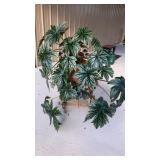 Live houseplant large gryphon begonia, goldfish