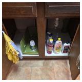 Contents of under the sink