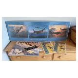 Lot of Victory Fighter Books and Pictures