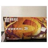 Federal- 300 win mag- 180 gr.