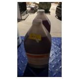 Two Bottles of Kay Disinfectant Cleaner