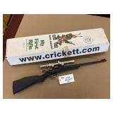 KSA Crickett .22 LR with BSA scope