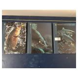 3 Hunting & Fishing Books