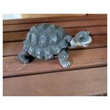 Turtle plastic