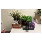 Vases, Decor Plants and More