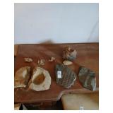 Fossils and rock lot