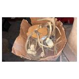 Box of Deer Antlers