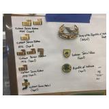 Vietnam service ribbons and lapel pins