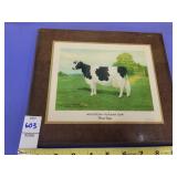 Holstein-Friesian Cow True Type