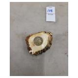 Antler Bur Domd Indian head  nickle 1935