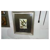 Framed Bird Print by Rutledge