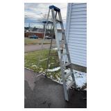 Werner 8ft Ladder