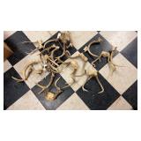 Deer Shed Antlers