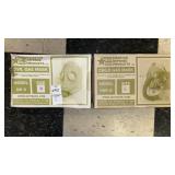 2  Gas Masks