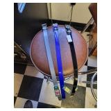 Assortment of dog collars 19in.