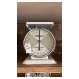 American Family Scale White