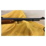 Remington Fieldmaster Model 572 Pump-Action .22lr