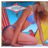 Beach Boys, The - Raritites - LP