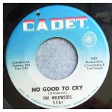 Wildweeds, The - No Good To Cry - 45