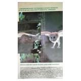 Bowie, David - Underground - LP