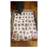 Tray Lot of Assorted Wheat Pennies