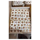 Tray Lot of Assorted Wheat Pennies