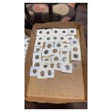 Tray Lot of Assorted Wheat Pennies