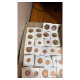 Tray Lot of Assorted Pennies