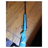 Cricket My First Rifle 22 short, long, and long