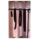 Lot of Belts and 1 Belt Buckle