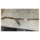 Natureï¿½s Walking Stick